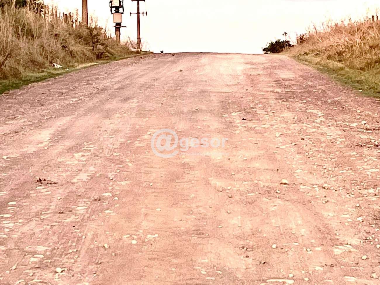 Image6